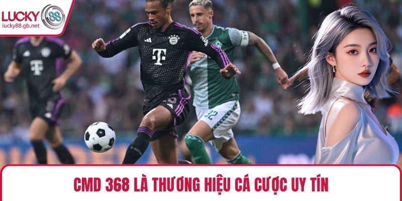 CMD 368 là thương hiệu cá cược uy tín